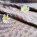Laminated hot film matte flannel